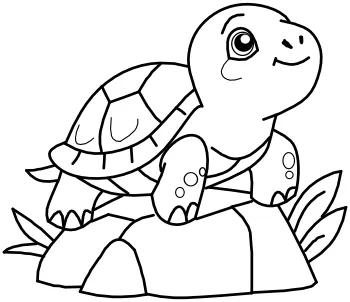 How to draw Cute Baby Turtle step by step