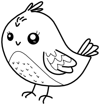 How to draw Cute Bird step by step