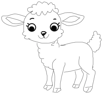 How to draw Cute Lamb step by step
