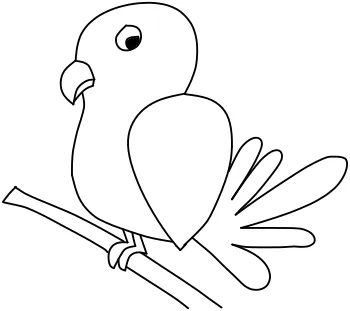 How to draw Parrot step by step
