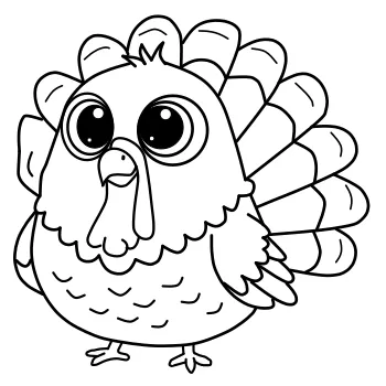 How to draw Turkey step by step