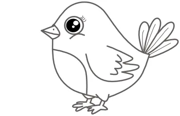 How to draw Twity step by step
